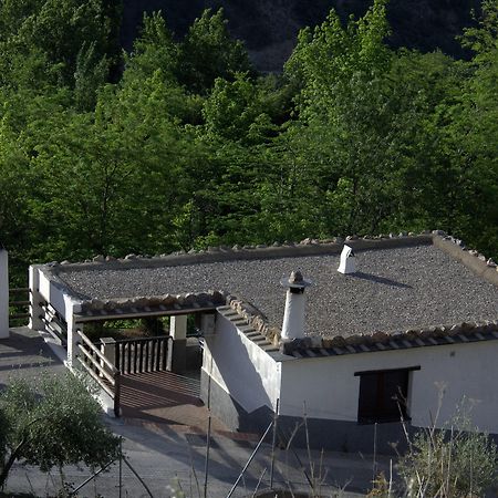 Turismo Rural & Spa El Cercado Bérchules Eksteriør bilde