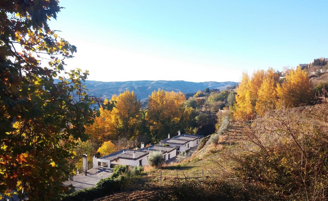 Turismo Rural & Spa El Cercado Bérchules Eksteriør bilde
