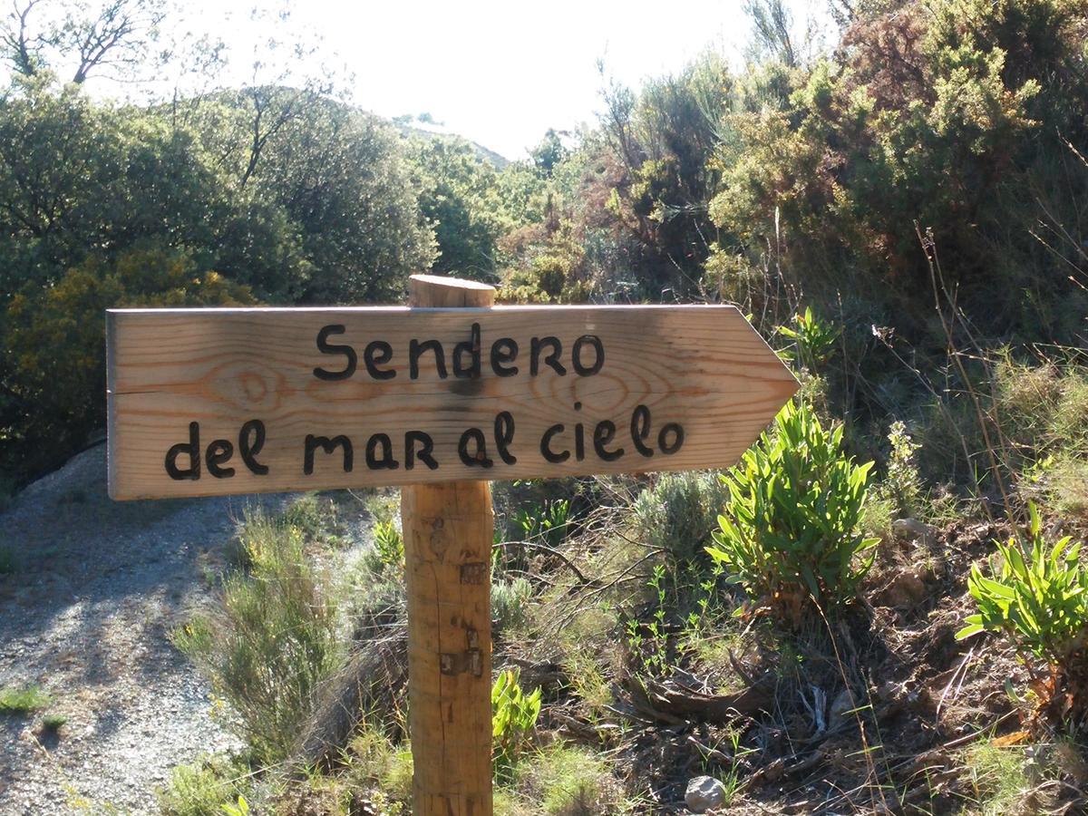 Turismo Rural & Spa El Cercado Bérchules Eksteriør bilde